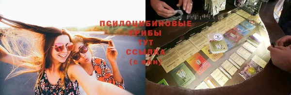 экстази Вяземский
