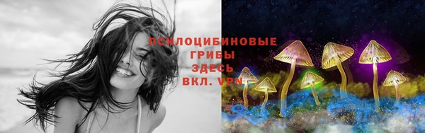 экстази Вяземский