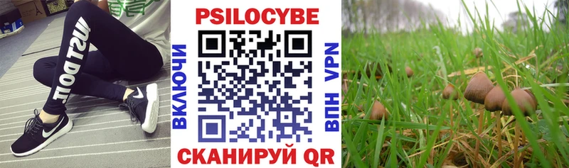 продажа наркотиков  Горно-Алтайск  Галлюциногенные грибы GOLDEN TEACHER 
