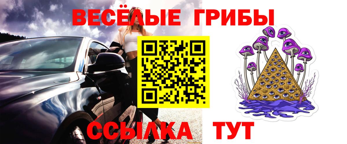Горно-Алтайск  Галлюциногенные грибы Psilocybine cubensis  Вход с VPN  Галлюциногенные грибы мицелий 