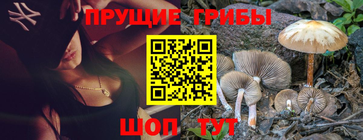 Галлюциногенные грибы GOLDEN TEACHER  Горно-Алтайск 